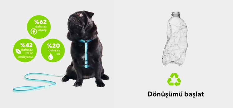 Türkiye’nin ilk ve tek doğa dostu evcil hayvan markası DOG.İST